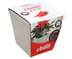 Mr. Fothergill's Chilli Ceramic Pot Grow Kit