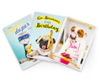 Cards Only Animal Birthday Cards Box Set 60-Pack