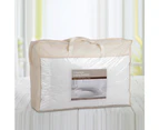 Goose Feather Down Bed White Pillow - Set of 2