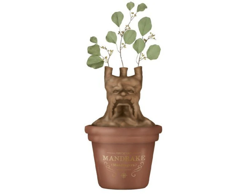 Mandrake Table Top Vase