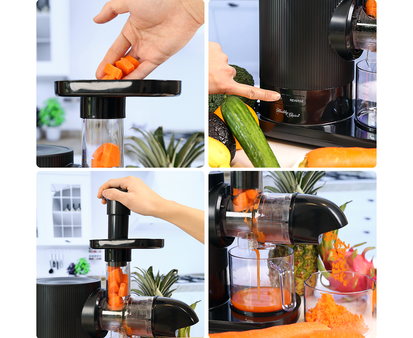 Nxone slow store masticating juicer