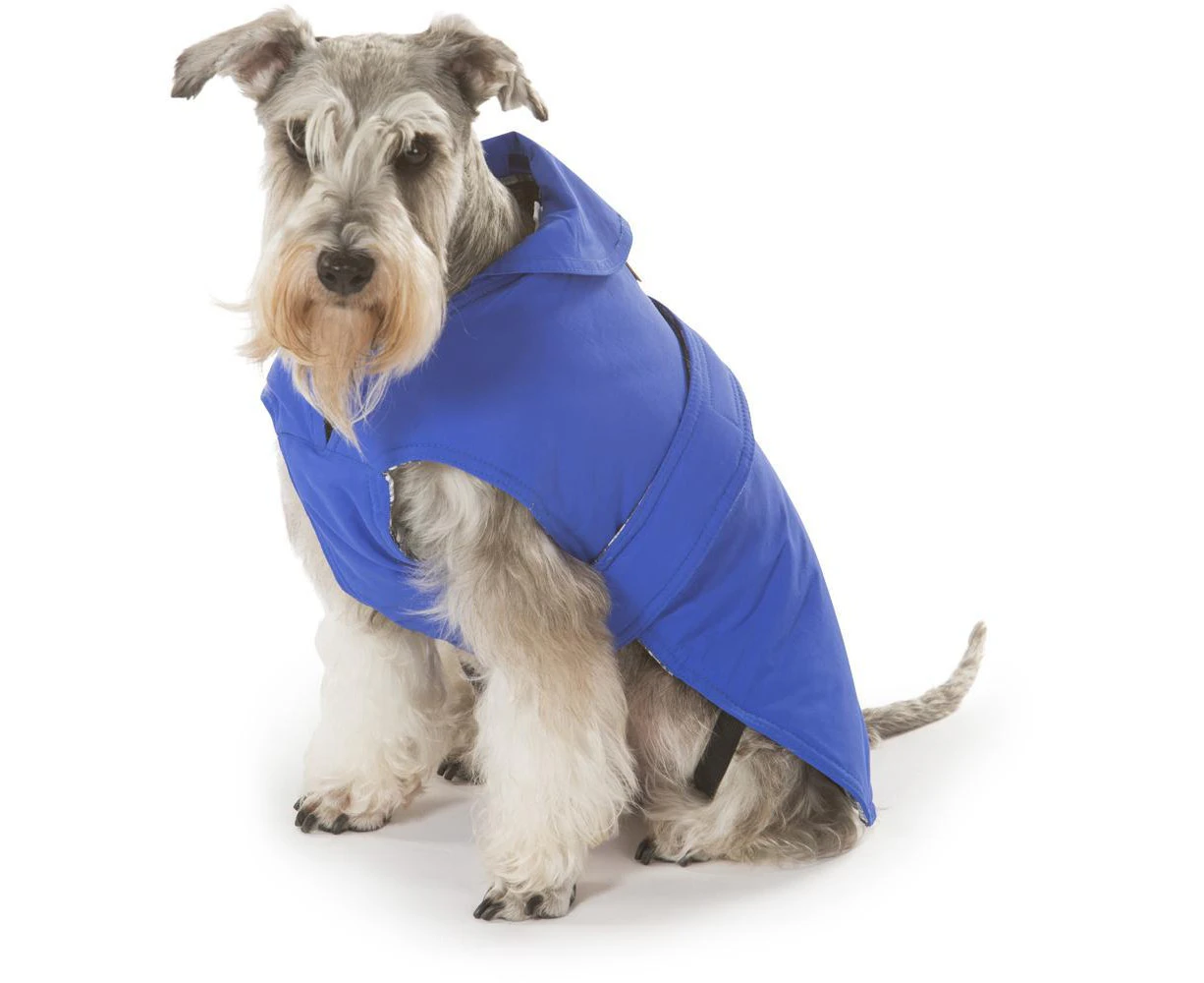 Blue Dog Coat 60cm