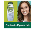 Palmolive Naturals Anti Dandruff 2 in 1 Hair Shampoo and Conditioner, 350mL, Tea Tree & Eucalyptus