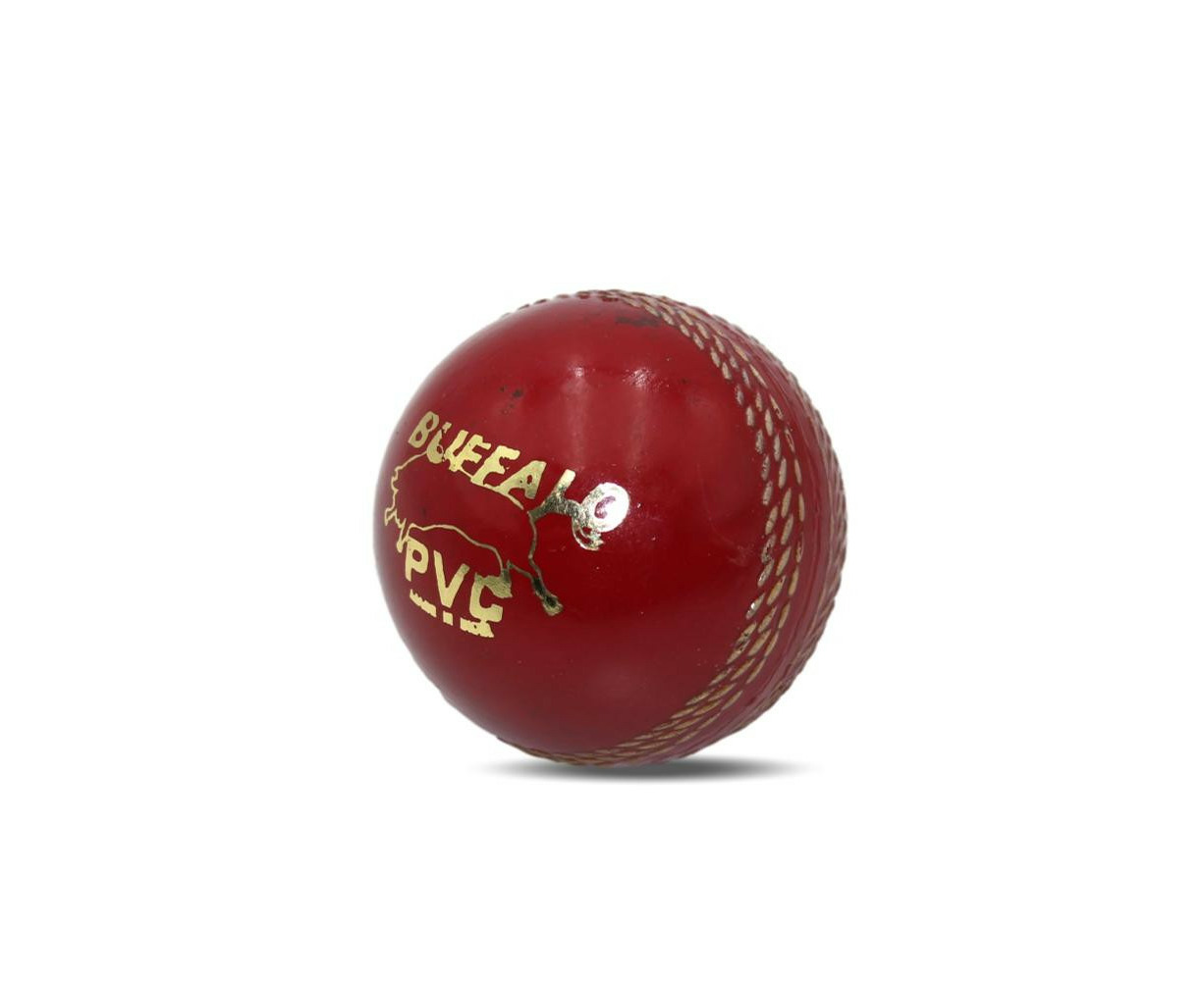 catch a cricket ball
