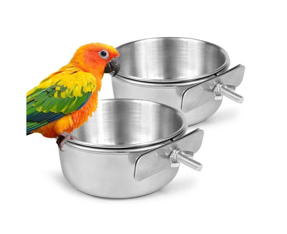 parrot food bowls