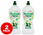 2 x 1.25L Morning Fresh Dishwashing Liquid Original