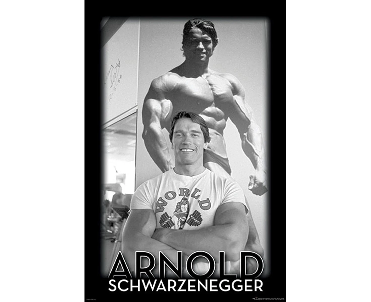 Arnold Schwarzenegger   Gym Poster