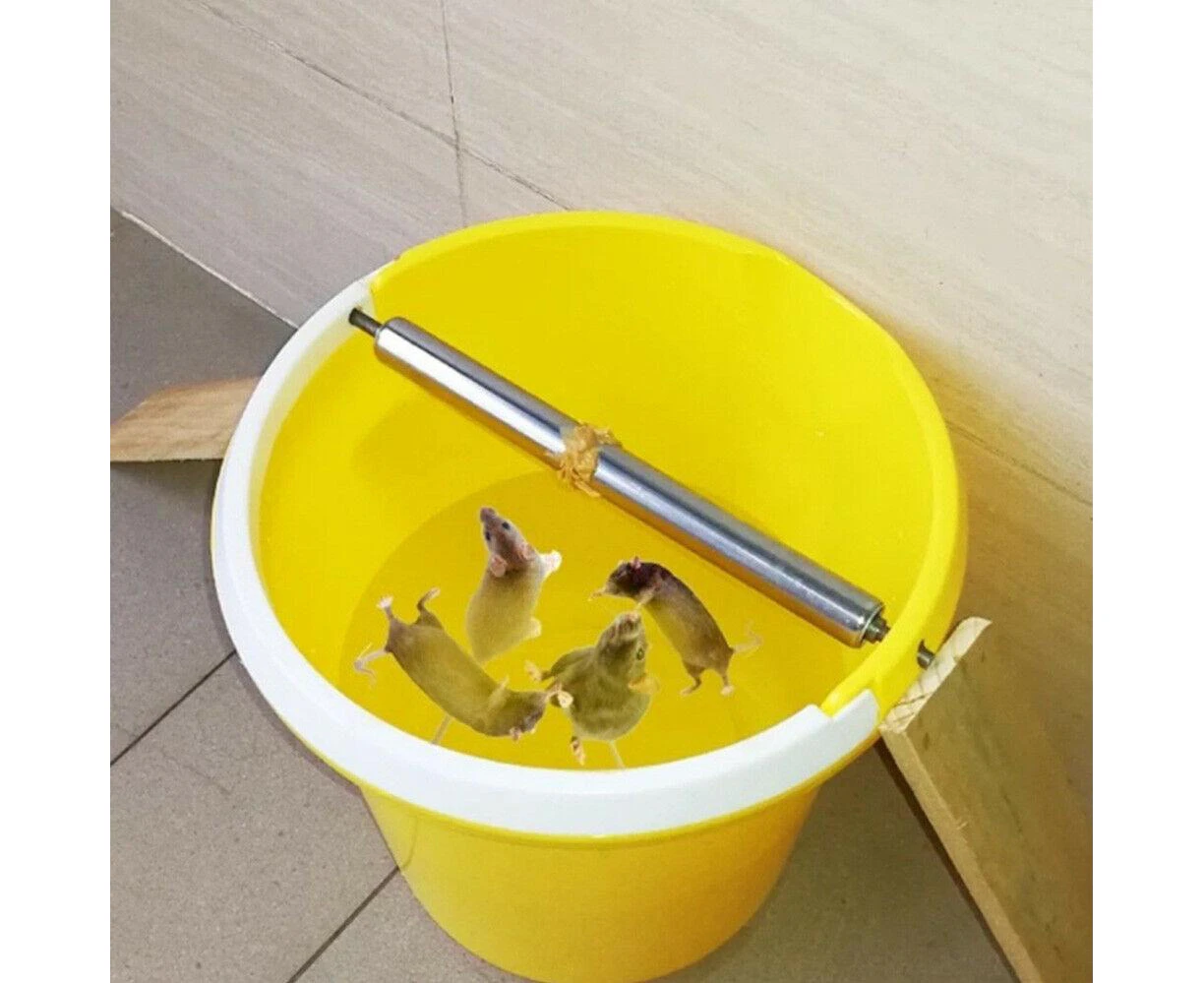 Bucket Multi Catch Live Plank Mouse/rat Trap