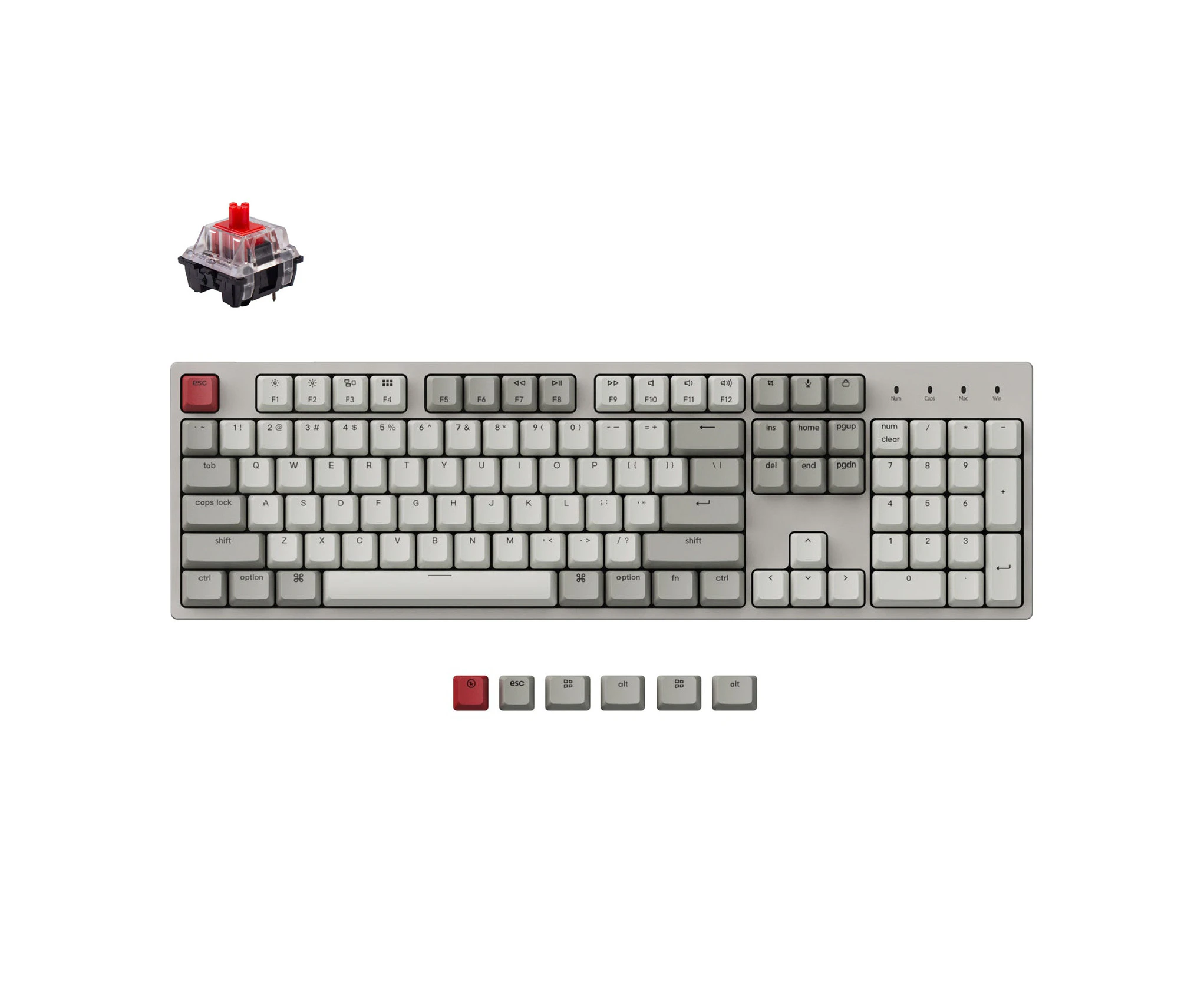 Keychron C2 USB Keyboard Hot-Swappable Non-Backlit Retro Colour Mechanical Keyboard Gateron Red Switch Mac Windows C2-M1Z [KBKCC2M1ZRED]