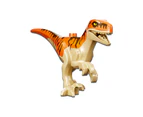 LEGO® Jurassic World 76948 T. rex & Atrociraptor Dinosaur Breakout