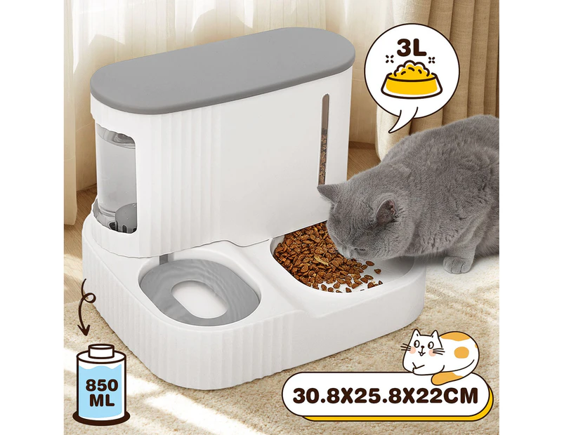 2 IN 1 Pet Automatic Feeder Cats Food Bowl Dog Water Dispenser Gravity Fed for Small Large Pets