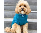 Coco Cable Dog Sweater - Teal