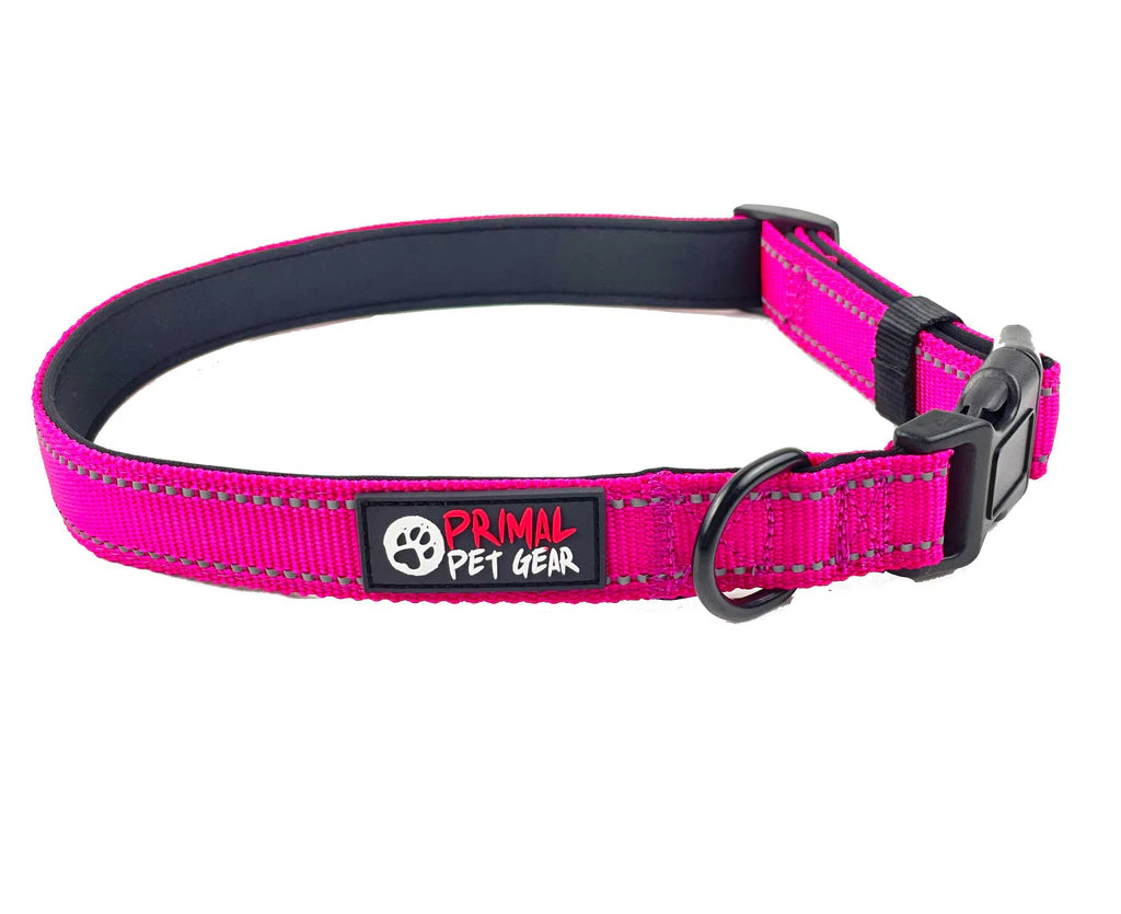 Primal Pet Gear Tough Dog and Puppy Collars - Pink