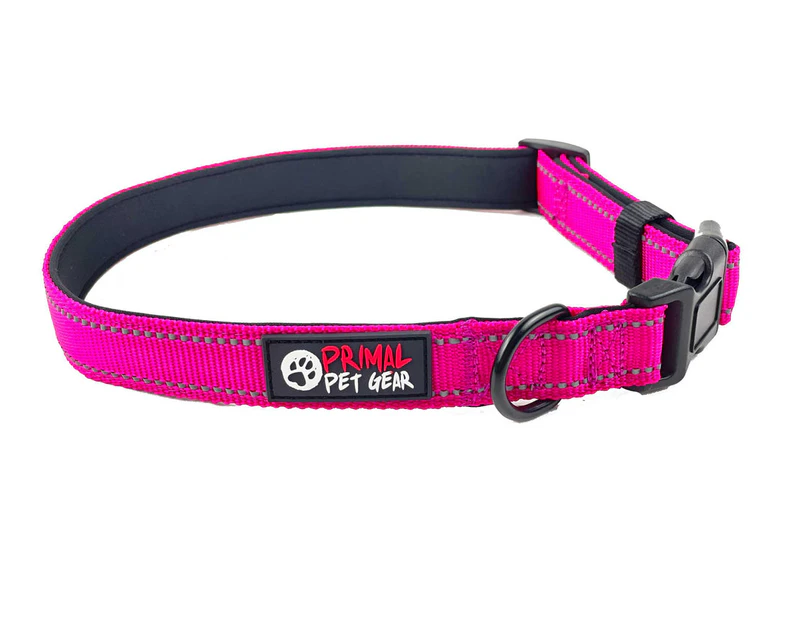 Tough store dog collars