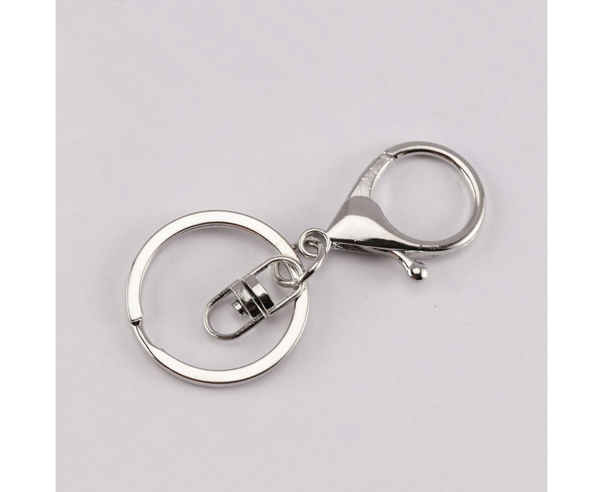 50PCS Metal Key Rings with Chains and Small Round Split Rings Keyring Blanks Metal Key Rings for Organizing Keys and Making Craft Borns Keychain Rings 