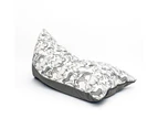 Cocoon Couture Wild Ones Collection Bean Bag Cover - Charcoal