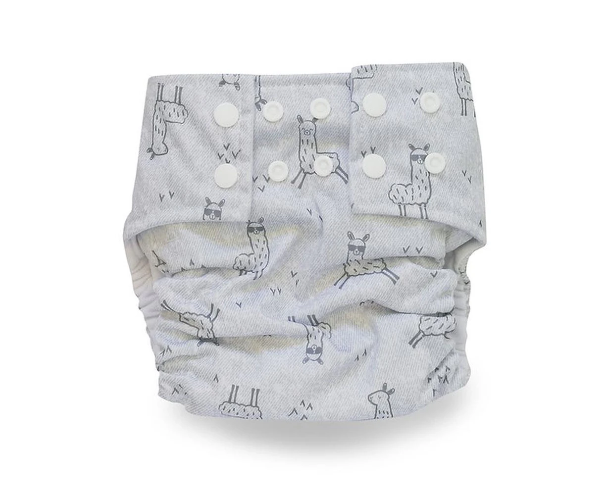 Cloth Nappy & Bamboo Liner (Llama)