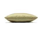 Riva Home Palermo Cushion Cover With Metallic Sheen Design (Gold) - RV1601