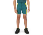Regatta Childrens/Kids Sorcer II Mountain Shorts (Pacific Green/Bright Kiwi) - RG7216