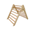 Pikler Foldable Climbing Triangle - Large