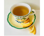 Organic Loose Leaf Green Tea with Citrus x 2 Refills
