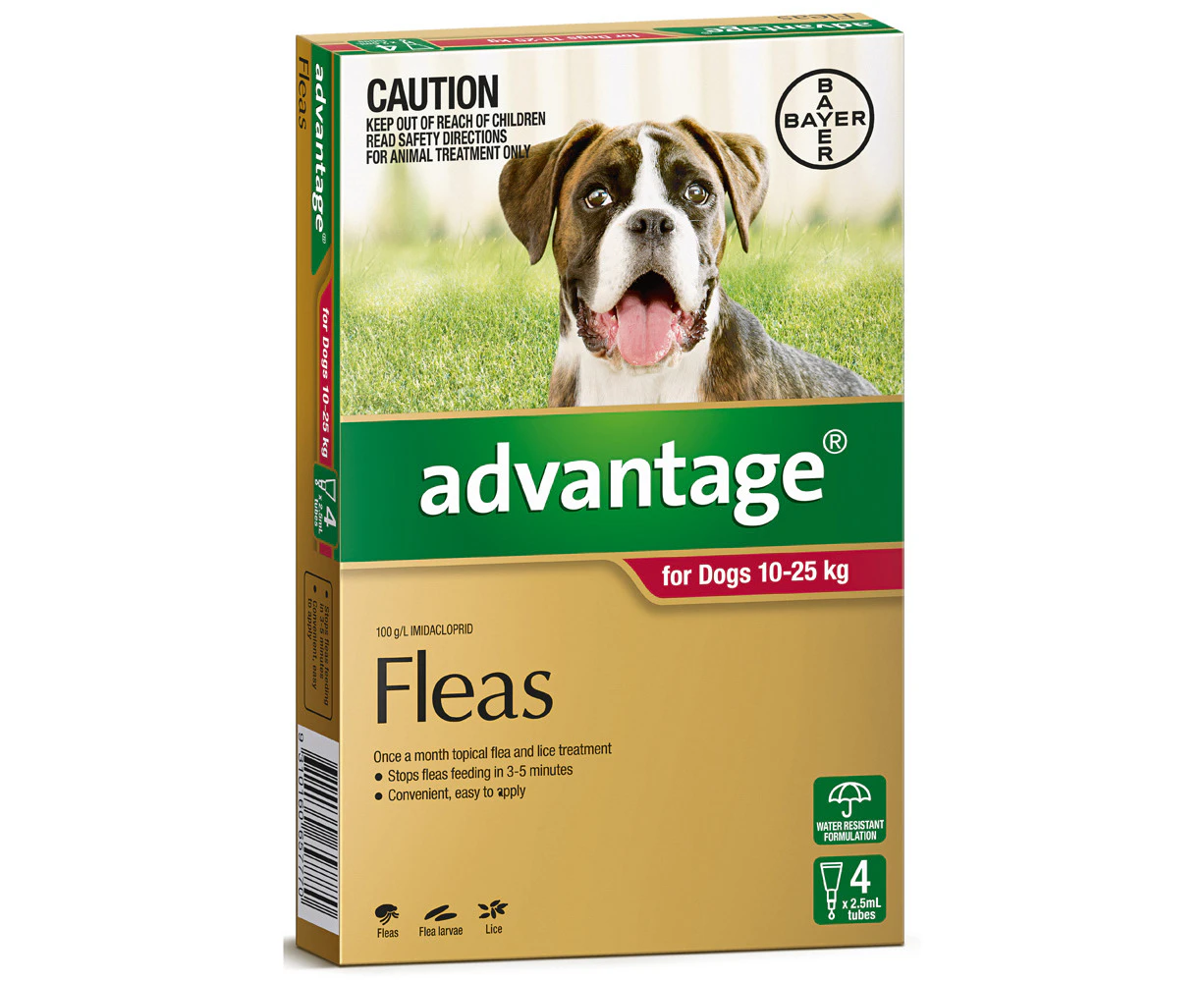 Advantage For Large Dogs (10-25kg) 4 Pack