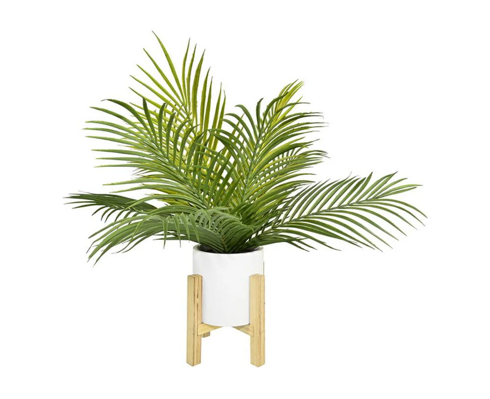 Fern In White Pot On Stand