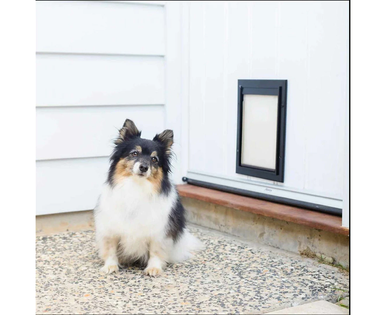 PVC 2 Way Lockable Pet Dog Cat Safe Security Brushy Flap Door - Black