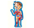 Hape 1m Human Body Puzzle