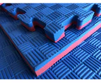 Interlocking Jigsaw 25mm Mats Reversible Floor Mat - Red/Blue