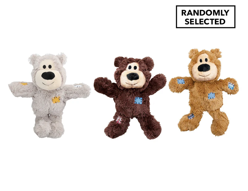 Plush Bear Squeaky Dog Toy - Randomly Selected