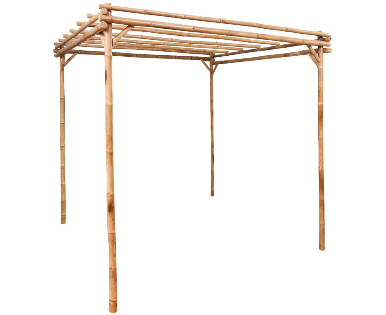 vidaXL Pergola Bamboo 170x170x220 cm