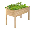 Giantex Raised Garden Bed Elevated Cedar Wooden Planter Box 125 x 58 x 76 cm Outdoor Gardening Planting Bed for Vegetables Flowers & Herbs,Natural