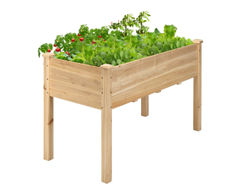 Giantex Raised Garden Bed Elevated Cedar Wooden Planter Box 125 x 58 x 76 cm Outdoor Gardening Planting Bed for Vegetables Flowers & Herbs,Natural