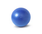 Zen Flex Fitness PVC Yoga Exercise Ball - Blue - Large