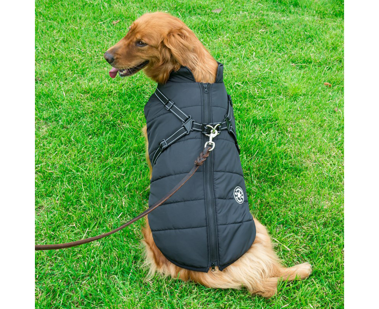 dog jacket with leash hole