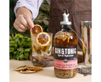 Gin & Tonic Spirit Cocktail Infusion Kit
