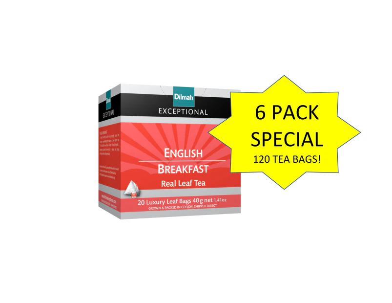 6 x 20pk - Exceptional English Breakfast Tea Bags (6 x 40 grams)