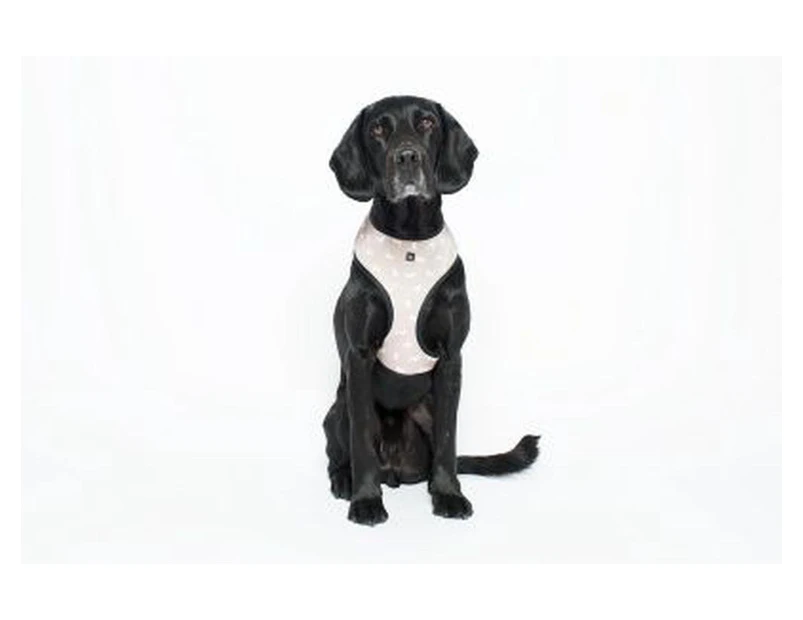 MOG AND BONE NEOPRENE HARNESS OATMEAL DOG LARGE