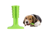 Dog Toothbrush Toy Bristly Brushing Stick Pet Molars Toothbrush for Dogs Dental-Middle size