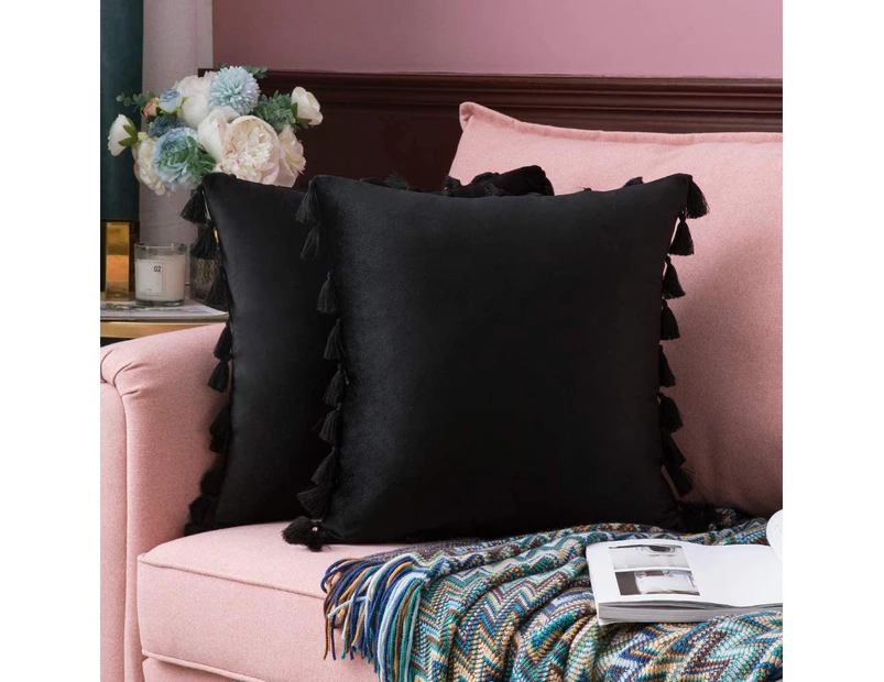 COZY LIFE Pack of 2 Velvet Soft Solid Decorative Throw Pillow Cover with Tassels Fringe Boho Accent Cushion Case for Couch Sofa Bed (Black)