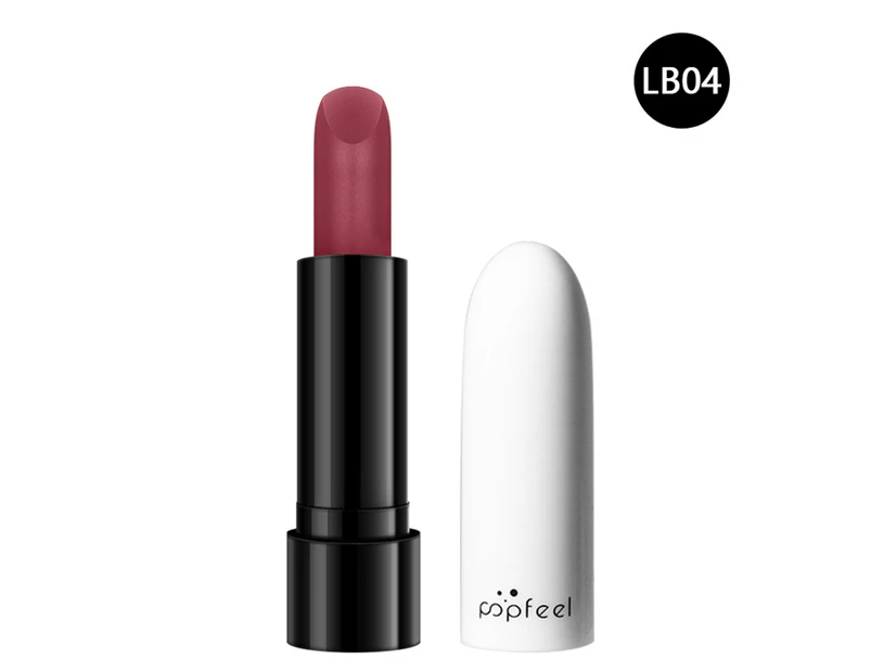 3g Lipstick Long Lasting Beauty Portable Matte Lip Gloss for Daily Life-4