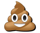 Poop Emoji Magnet