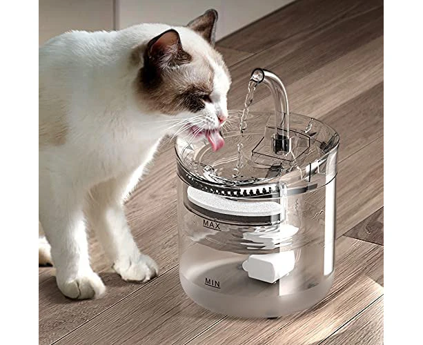 Cat drinking clearance fountain kmart