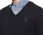 Polo Ralph Lauren Men's Long Sleeve Slim Fit V-Neck Sweater - Hunter Navy