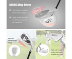 Costway Premium Ladies Golf Clubs Set Starters w/Bag 10 Pieces Alloy/Graphite Drive, Right Hand