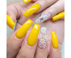 Manicure Transfer Template Flower Butterfly Nail Image Stamping Stencil Plate-4#