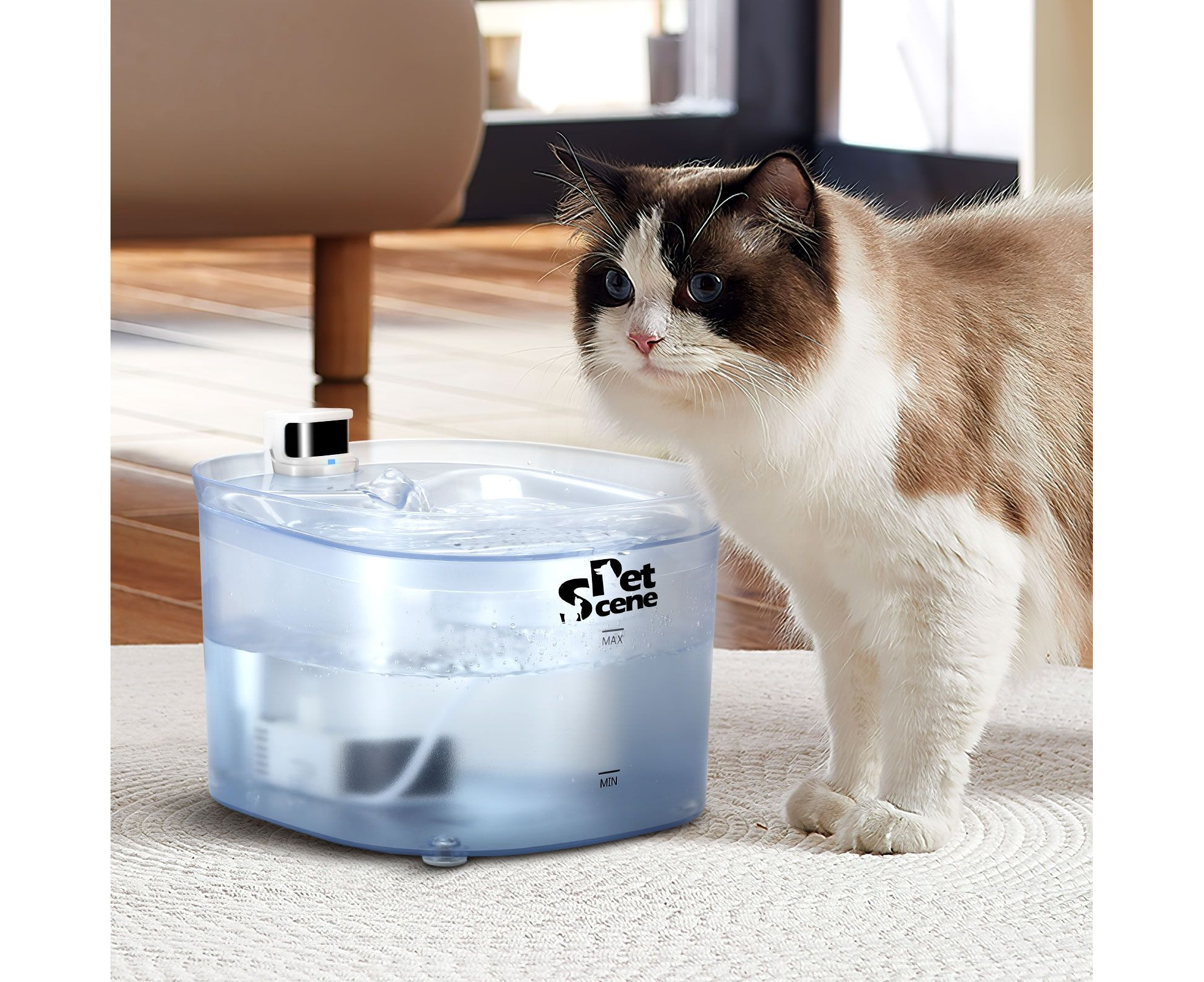 smart cat feeder and water fountain