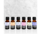 Pack of 6 Essential Oil Blends - 6 Pack Oils