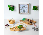 White Dinosaur Children's Bamboo Suction Plate - Dining Dish - Stay Put Silicone Cup - Segmented - Eco-friendly - by Tiny Dining